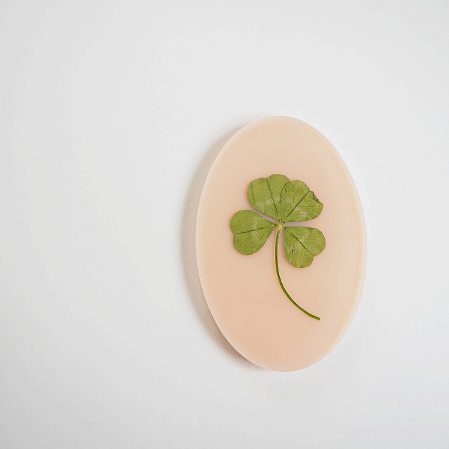 4つ葉のクローバーのプレート