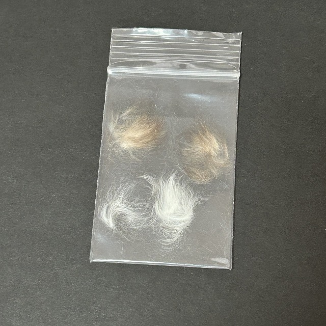 制作前にお預かりしたハムスターの毛。レジンアクセサリー制作のため大切に保管された毛の状態。